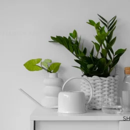 گل برای سرویس بهداشتی بدون نور 4