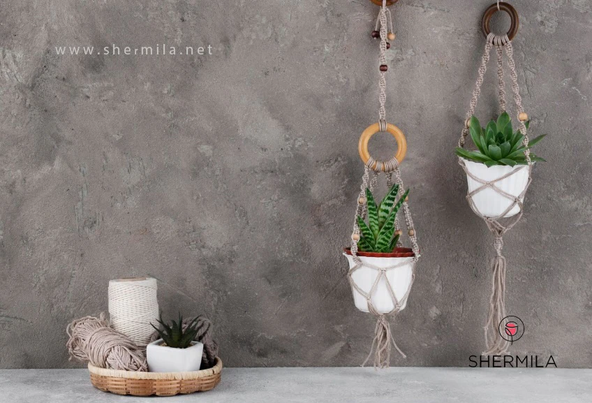 گل برای سرویس بهداشتی بدون نور 2