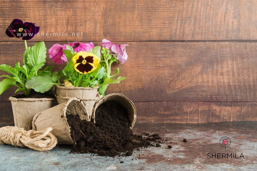 بهترین خاک برای گل‌های آپارتمانی 2