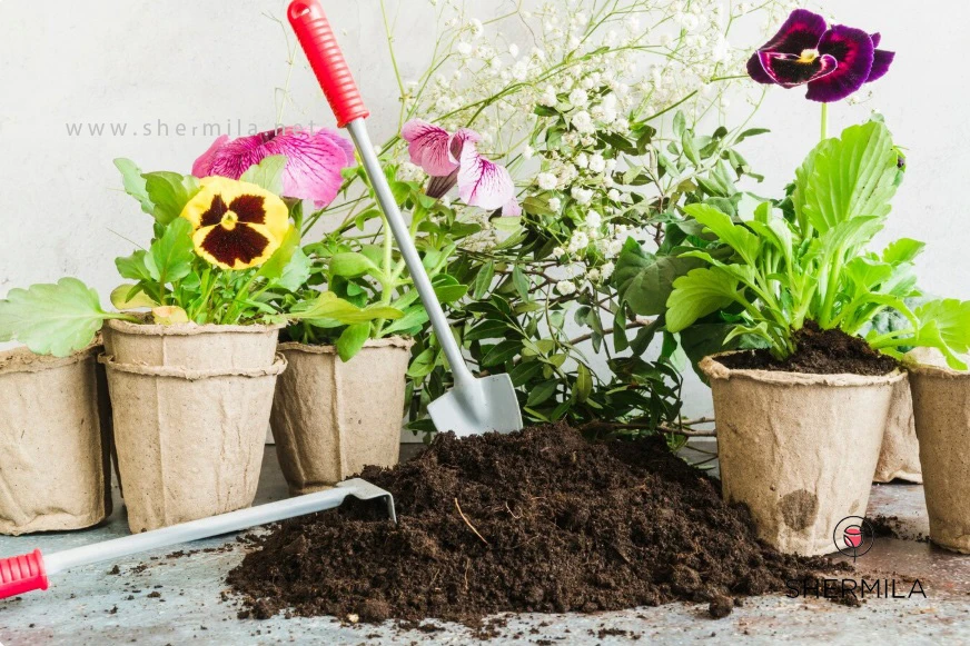 بهترین خاک برای گل‌های آپارتمانی 1