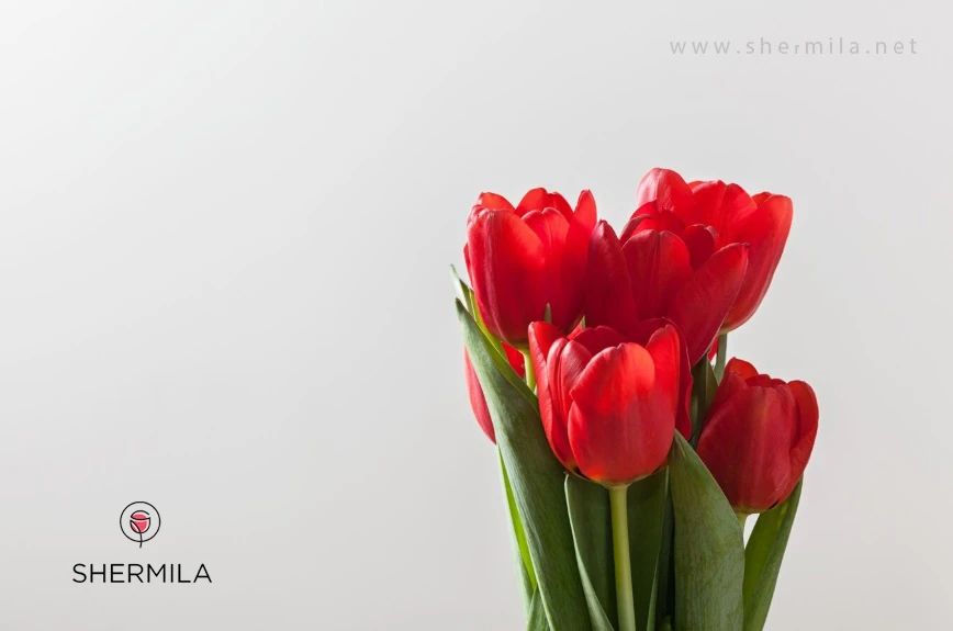 معرفی انواع گل های پیازی