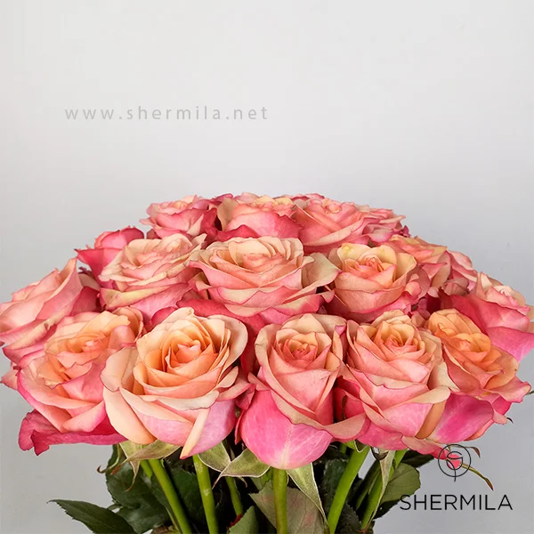 سفارش باکس گل رز