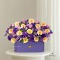 shahoo-flower-box