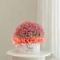 romisa-flower-box