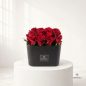 tanaz-flower-box