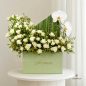 Rozhda-flower-box-new