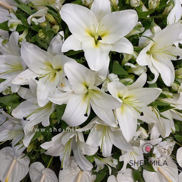 raadnik-flower-stand-2