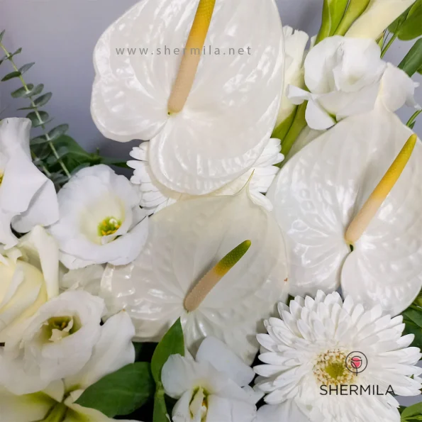 tabassom-flower-box-2