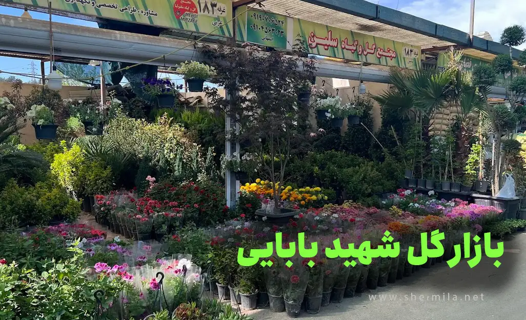 بازار گل شهید بابایی