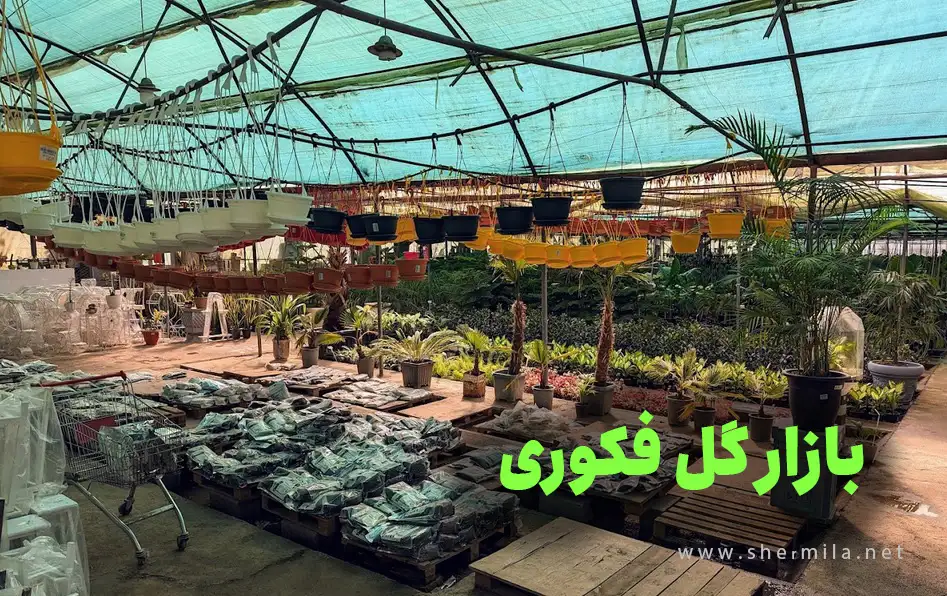 بازار گل شهید فکوری