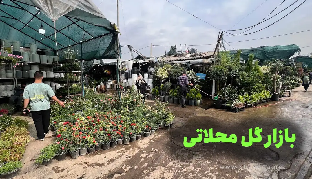 بازار گل محلاتی