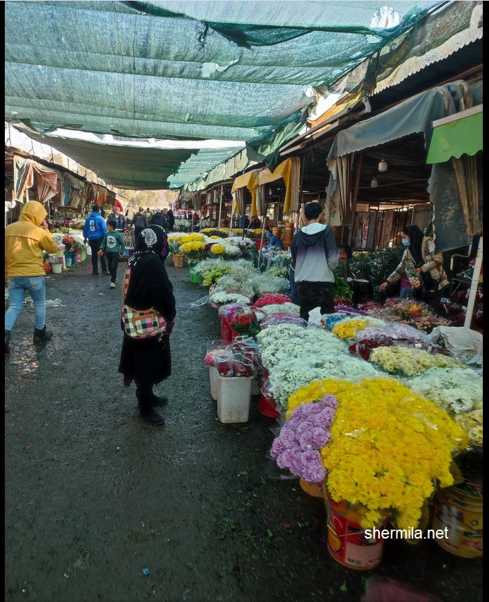 بازار گل امام رضا