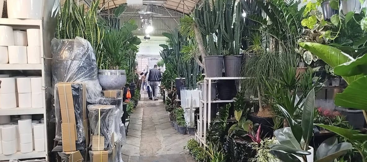 بازار گل ستاری غرب