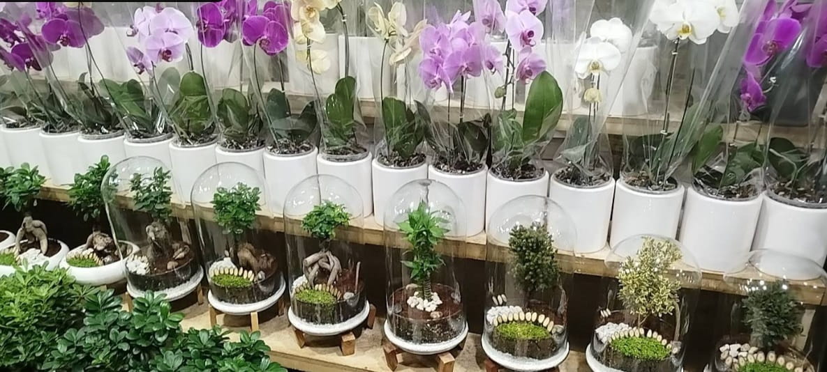 بازار گل ستاری غرب 33