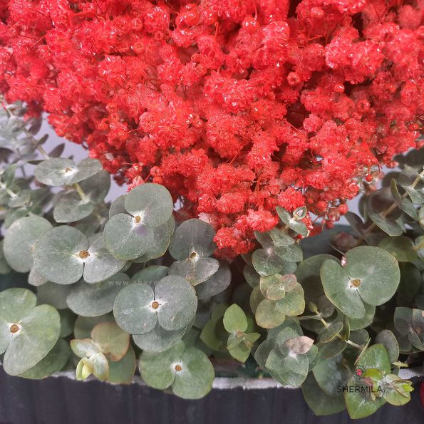 maneli-flower-stand-2