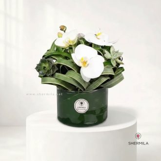 باکس گل مهیار