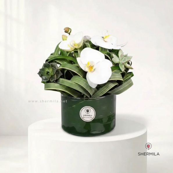 mahyar-flower-box