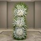 Farhood-flower-stand-new-1