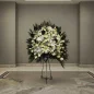 Rasin-flower-stand-new-1